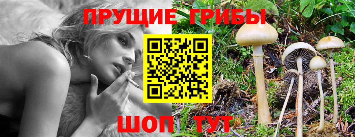 Нурлат  Галлюциногенные грибы Magic Shrooms  Вход с VPN 